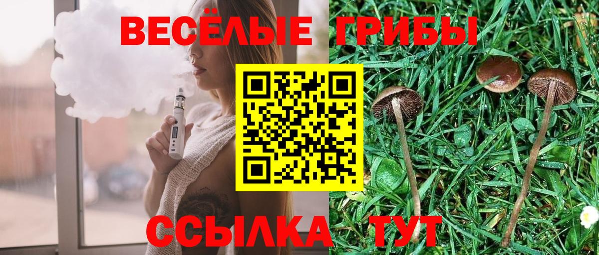 Псилоцибиновые грибы мухоморы  Вход с VPN  где найти наркотики  Псилоцибиновые грибы Magic Shrooms  Владивосток 