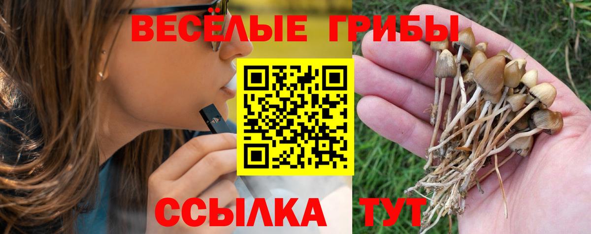 Псилоцибиновые грибы Psilocybe Владивосток